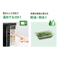 パックスタイル バガス容器 WB 16-11 604004 1袋(50個)（直送品）