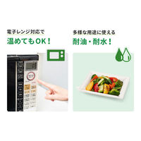 パックスタイル バガス容器 WBプレート 20-17 639720 1袋(50個)（直送品）