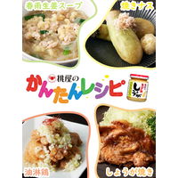 桃屋 きざみしょうが お徳用 205g 3個