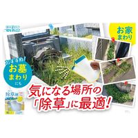 除草剤 水に溶かすボール型除草剤 つめかえ用 1個 ウエルコ