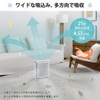 Levoit Vital 100S Pet 空気清浄機 LAP-V102S-AJPR 1台