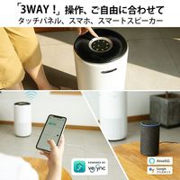 Levoit Core 400S 空気清浄機 LAP-C401S-WJP 1台