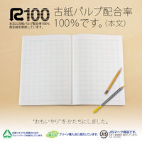 日本ノート 科目名入り スクールライン 漢字ドリル セミB5 SLK104 2冊