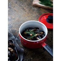 富士ホーロー IH琺瑯レッド4点セット(ケトル、ミルクパン、ソースパン、両手鍋) OT24-SD.R 1セット(4点)