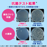 【アウトレット】ビオレu 泡ハンドソープ フルーツの香り 詰替800ml 1セット（2個） 【泡タイプ】　花王　弱酸性　抗菌ポンプヘッド