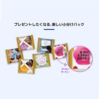 コンボ プレゼント 低脂肪 避妊・去勢後用 シーフードミックス味 総合栄養食 国産 42g（3g×14袋）5個 猫 おやつ