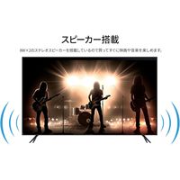 43インチ ワイド液晶ディスプレイ(1920x1080/IPS/HDMIx3/USBx2/スピーカー/半光沢) JN-FHD43IPS-H5（直送品）