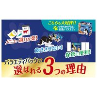 （バラエティパック）フィリックス 成猫 ツナ3種バラエティ（50g×12袋）1個 キャットフード 猫 ウェット パウチ
