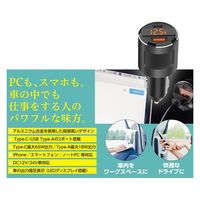 池商 スーパーパワーカーチャージャー RA-SPCC 1個（直送品）