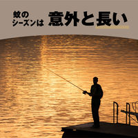 Coleman コールマン 蚊取り器 どこでもつかえる アースノーマット 電池式 180日セット 無香料 1個 蚊 アース製薬