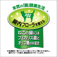 JPスタイル 和の究み セレクトヘルスケア 下部尿路ガード 国産 1.4kg（200g×7袋）3袋 キャットフード 猫 ドライ