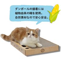 バリバリパッドコロコロボールスクエア 猫おもちゃ 猫壱