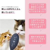 ブラシを嫌がる猫もとろける魔法のブラシ 日本製 猫壱