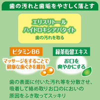 ペティオ 犬猫用 歯みがき用 シートでふきとる デンタルティッシュ（30枚入×2個）お得パック 1個 犬 猫