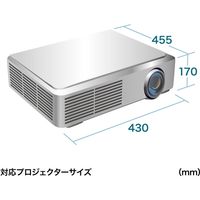 サンワサプライ プロジェクターバッグ BAG-PRO5 1個（直送品）