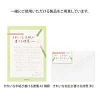 デザインフィル きれいな宛名が書ける封筒 洋2 20590006 1セット(1パック(8枚入)×5)