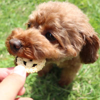 森乳サンワールド 犬用 ワンラック お気にいり ミルクビスケット 国産 180g 5個 ドッグフード おやつ