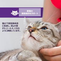 ウェルネス コアダイジェスティブヘルス 成猫用 1歳以上 サーモン＆米 消化器ケア 400g 1個 キャットフード 猫 ドライ