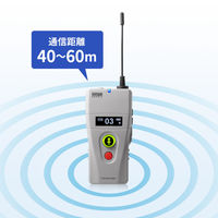 サンワサプライ ワイヤレスガイドシステム(親機) MM-WGS2TN 1個