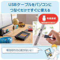 有線キーボード コンパクト カラー キーボード ブラック TK-FS10UMKBK エレコム 1個