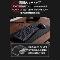 ゲーミングキーボード 有線 メカニカル テンキーレス タクタイル(茶軸) ブラック TK-GK20TBK エレコム 1個（直送品）