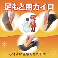 くつ用 カイロ 1個（15足入） エステー  オリジナル