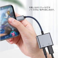USB Type-C オーディオ変換 PD60W給電 3.5mm イヤホンジャック 変換アダプタ USBハブ ドック 1個
