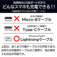 エアージェイ 乾電池式充電器(単3アルカリ乾電池、ライトニングケーブル付) BJ-EMUSB1A WH 1台