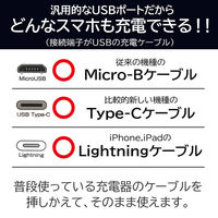 エアージェイ 乾電池式充電器(単3アルカリ乾電池付) BJ-EUSB WH 1台