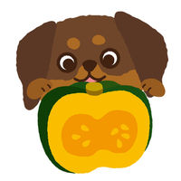 グルテンフリークッキー 犬用 カボチャ味 国産 40g 3袋 スマック おやつ