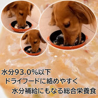 ドギーマン わんちゃんの国産牛乳スープごはん ビーフと緑黄色野菜入り 国産 80g 20個 ドッグフード 犬 ウェット パウチ