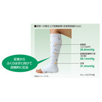 アルケア エラスコット・テンションガイド TG4 19412 1箱(6巻入)