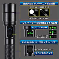 朝日電器株式会社 ＬＥＤアルミライト DOP-EP530 1個