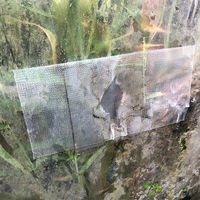 高耐侯多用途テープ ハガレナインマルチ 幅80mm×長さ20m ナチュラル #600NW リンレイテープ 1箱（30巻入）