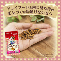 銀のスプーン お魚味クッキーサンド かつお 国産 24g（6g×4袋）2個 猫用 おやつ