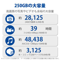 SSD 外付け 250GB キャップ式 USB3.2(Gen1) 小型 ブラック ESD-EMC0250GBK エレコム 1個（直送品）