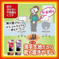 小林製薬 足の冷えない不思議なくつ下レギュラーソックス超薄手 黒 481872 1セット(10個)