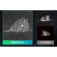 HIKMICRO サーマル暗視単眼鏡 FALCON FQ35 HIK-FQ35 1個（直送品）