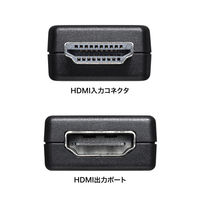 サンワサプライ EDID保持器(HDMI用) VGA-EDID 1個（直送品）