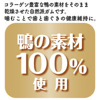 ペティオ ニューグリーン 完全無添加 ダックファイバースティック ロングタイプ 20g ドッグフード 犬 おやつ