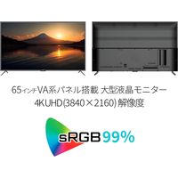 65インチ ワイド 4K液晶ディスプレイ(3840x2160/HDMIx3/DP/VGA/VAパネル) JN-V6500UHDR-N（直送品）