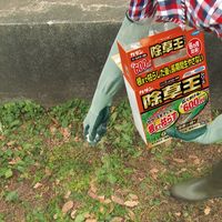 【園芸用品】 フマキラー カダン 除草王 オールキラー 粒剤 2kg 1個