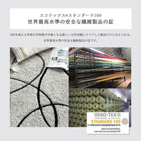 イケヒコ・コーポレーション カーペット ラグ エステラ 1330×1900mm アイボリー 1321530140201 1枚（直送品）