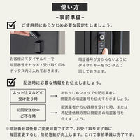 三栄コーポレーション 木目調ポスト付き宅配ボックス ブラック×木目調ナチュラル A1-DLMPBBKNA_AS 1台（直送品）