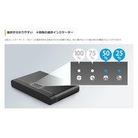 フィールドスリー HDD/SSD クローンステーション デュプリケーター 機能付きケース MAL-53M2NU4 1台