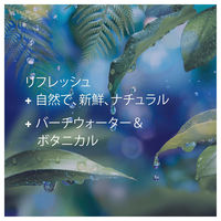 P＆G ダウニー インフュージョン リフレッシュ・バーチウォーター&ボタニカル 1.66L 037000241553（直送品）