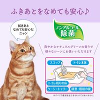 エリエール キミおもい 徹底キレイおそうじシート ノンアルコール除菌 大判厚手 ナチュラルグリーンの香り（26枚入×2個）3パック