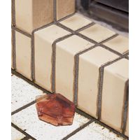 フマキラー ムカデカダン誘引殺虫剤 8個入 4902424440959 1箱