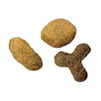 （セット品）ピュリナワン 猫 美味を求める成猫用 1歳以上 チキン ＋ サーモン＆ツナ 2kg 各1袋 キャットフード ネスレ日本