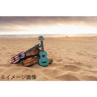 KALA カラ ウクレレ KA-WMS-GN-S [耐水仕様 ソプラノサイズ アウトドアにも最適 (ABS樹脂採用)]（直送品）